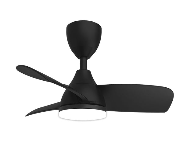 Fan lamp